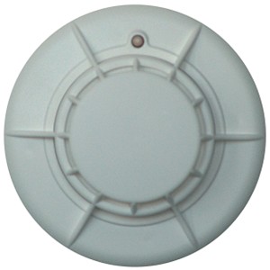 ECO1005 A