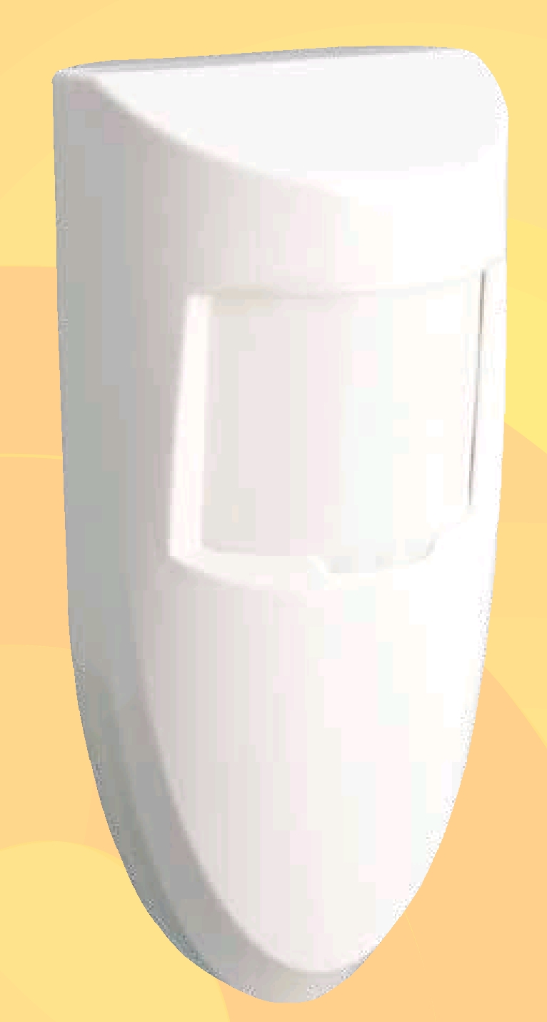 DIR6503000