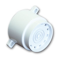 CS4465W