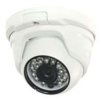 Marchio: DIERRETVCC. Articolo: vh-dm942dib. Telecamera Dome antivandalica con infrarossi - Impermeabile IP66 - 1/3