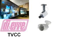 Telecamere finte
