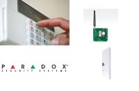 Gsm