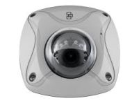 Marchio: ARITECH. Articolo: TVW-5302. Wedge Dome da esterno TruVision 2 MPX , ottica da 2.8 mm, True D, WDR, 10m IR, Audio, Alarm, MICRO SD/SDHC/SDXC slot, IP66, PoE/12VDC, Grigia.