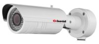 Marchio: GUARDALL. Articolo: G-IPCAM2M FM. Telecamera IP 2 Megapixel con ICR. 1/3