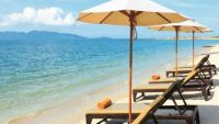 Marchio: ETER. Articolo: ETE SW-CP-BCH. BEACH – Modulo per la gestione prenotazioni spiaggia Il modulo Beach consente di gestire la spiaggia attraverso la mappa grafica dell’intera area. Permette di monitorare in tempo reale lo stato di prenotazione, occupazione e pagamento di ombrelloni, cabine, lettini ecc... All’interno del modulo è possibile eseguire analisi statistiche relative all’occupazione, sia per periodo che per gli incassi. 
