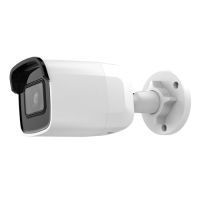 Marchio: DIERRETVCC. Articolo: VH-SF-IPCV220WH-2W. Safire - Telecamera IP - 1/2.7